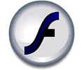 Adobe Flash. Основы интерактивной анимации (для старшеклассников)