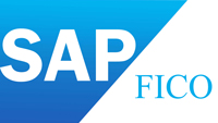 SAP. Финансы и управленческий учет