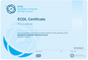 международно-признанный сертификат ECDL
