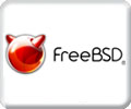 FreeBSD. Уровень 1. Основы администрирования 